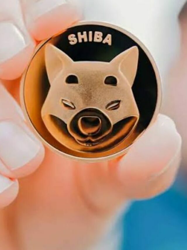 Shiba Inu ने 8000 डॉलर को बनाया 5.7 बिलियन डॉलर ?